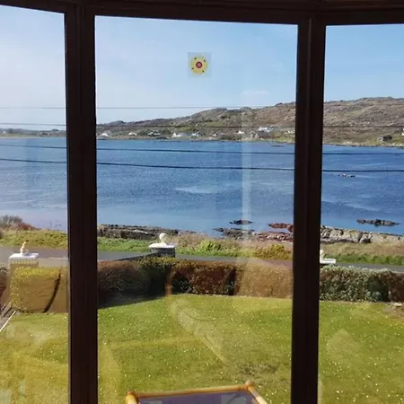 Seals Cove Galway
