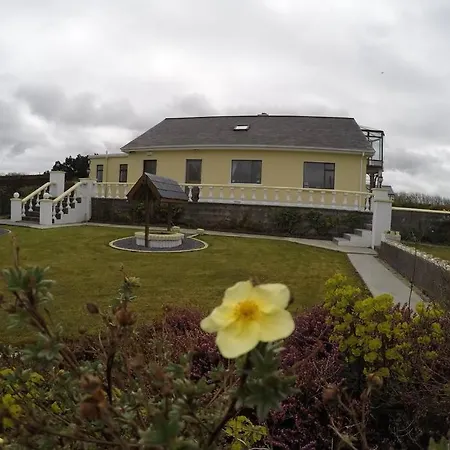Seals Cove * Galway