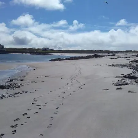 Seals Cove Galway