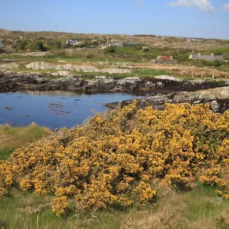 Vakantiehuis Seals Cove Galway