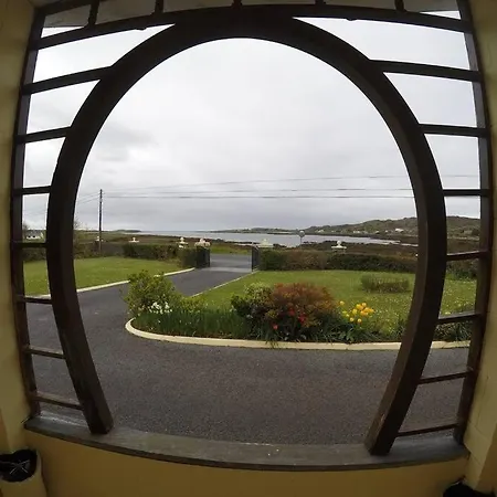 Seals Cove Galway