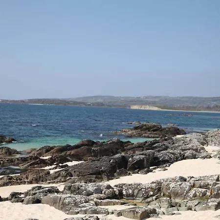 Seals Cove Galway