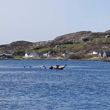 Vakantiehuis Seals Cove *