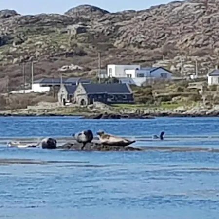 Vakantiehuis Seals Cove